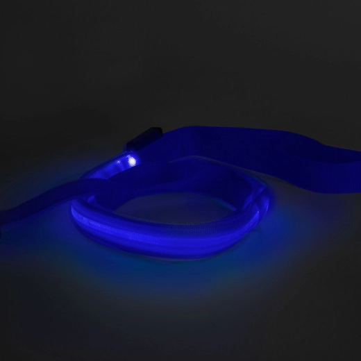 Lesă LED cu acumulator, 120 × 2,5 cm, albastră