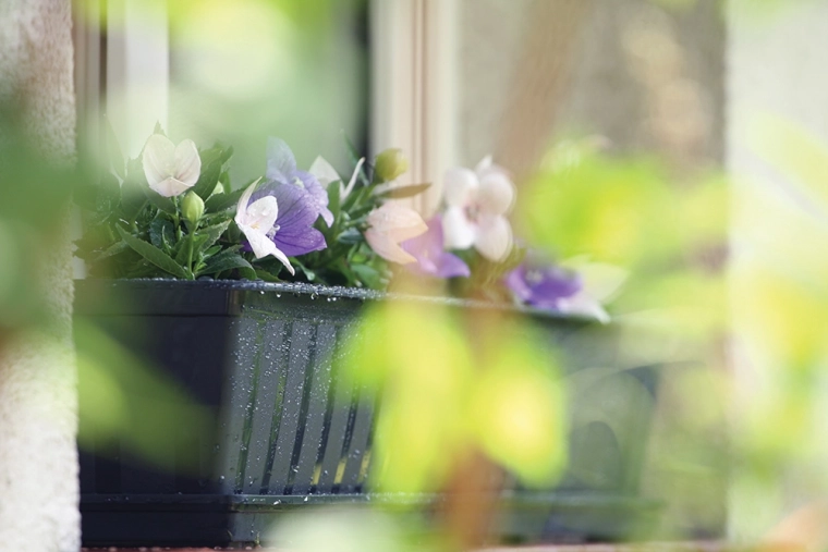 Ideal pentru ierburi aromatice și plante cu flori