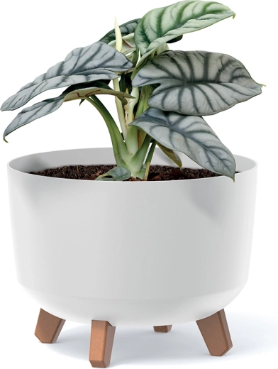 Stabilitate și aerisire mai bună