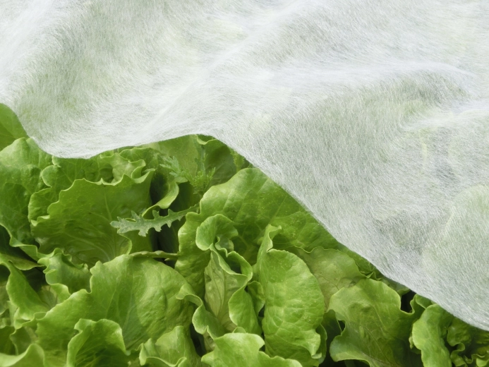 Respirabil și stabil la UV