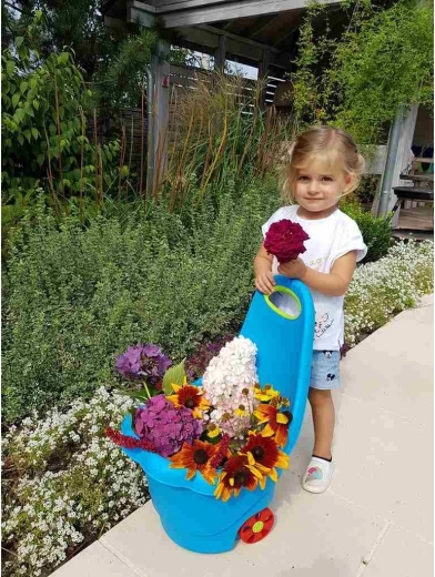 Joacă și ajutor în grădină