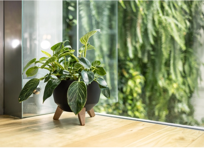 Aspect elegant în orice spațiu