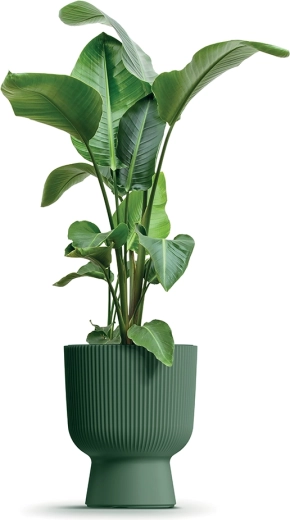 Material rezistent cu protecție UV