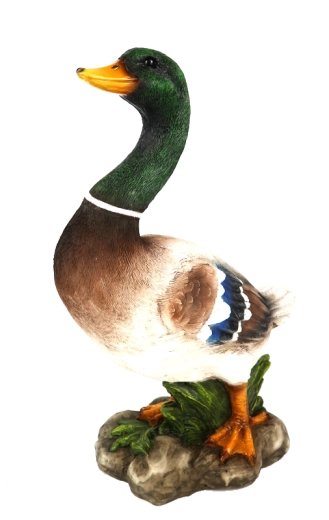 Decorațiune universală pentru interior și exterior