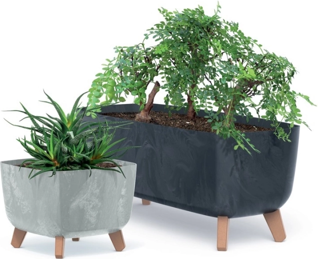 Soluție gândită pentru rădăcini sănătoase