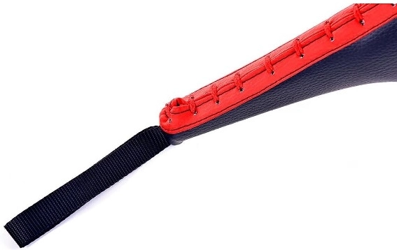 Priză sigură și control