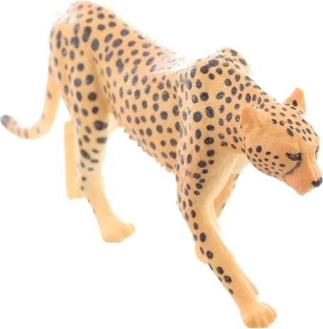 Ideală pentru învățare și colecționare