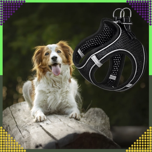 Vizibilitate ridicată datorită elementelor reflectorizante