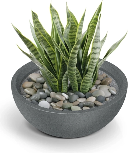 Supapă inteligentă de drenaj pentru rădăcini sănătoase