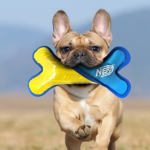 Vizibilitate ridicată pentru jocuri în aer liber