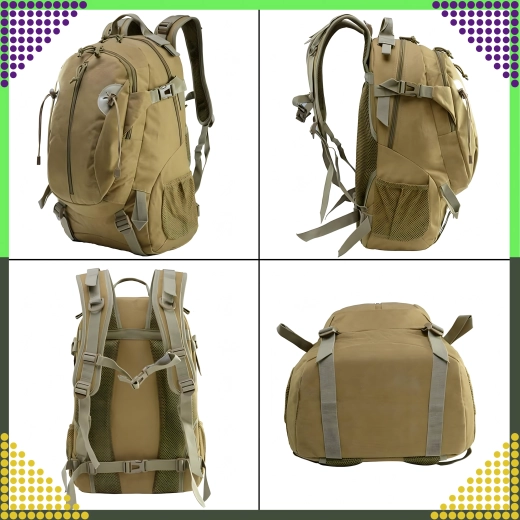 Organizare practică și extinderea capacității