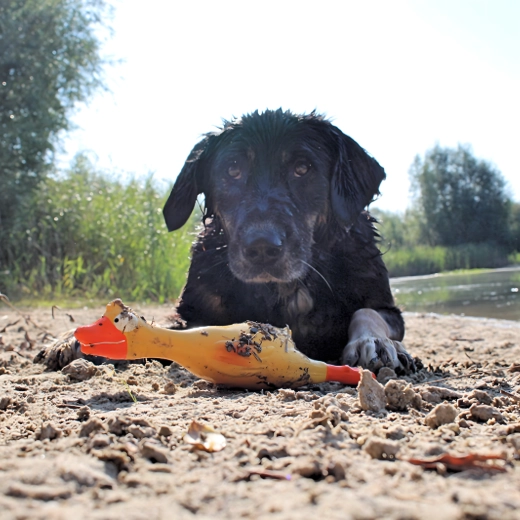 Culoare galbenă intensă pentru regăsire ușoară