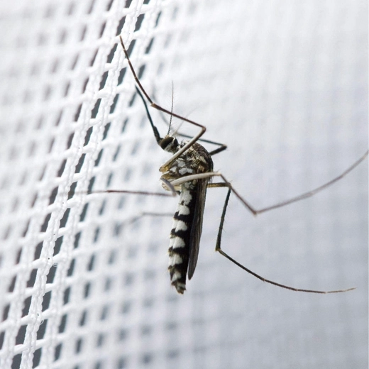 Barieră eficientă împotriva țânțarilor și insectelor
