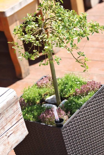 Inserție interioară practică pentru plantare rapidă