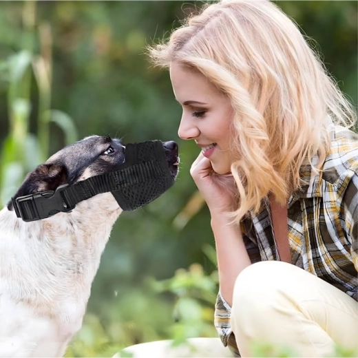 Siguranță la dresaj și la veterinar