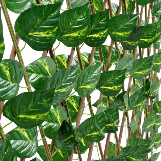 Frunze natural de dese și realiste