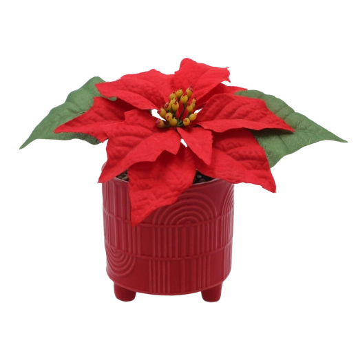 Poinsettie de Crăciun sintetică în ghiveci ceramic 9 × 17 cm