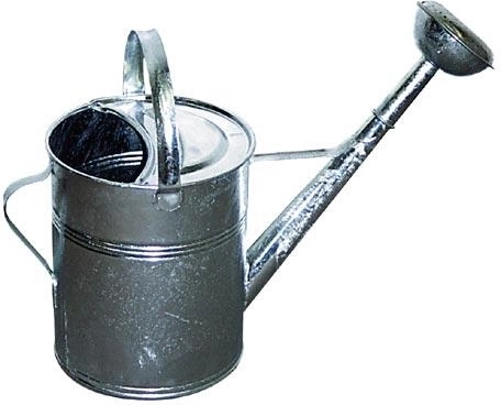 Stropitoare de grădină galvanizată 9 l cu sită