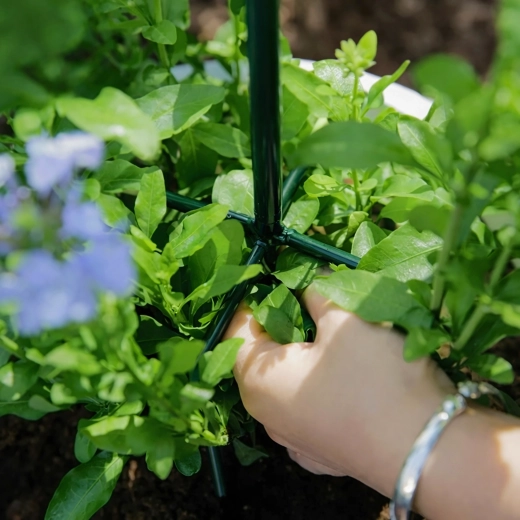 Sprijin stabil pentru o creștere sănătoasă