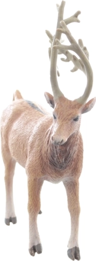 Mărime ideală pentru mâini mici