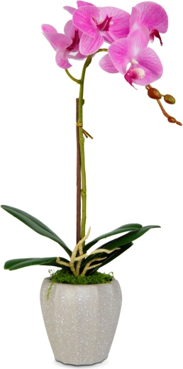 Diferite variante de culoare