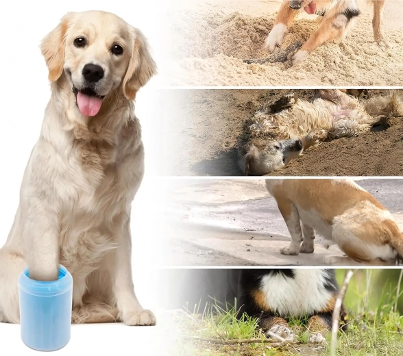 Mașină și podea curate după fiecare plimbare