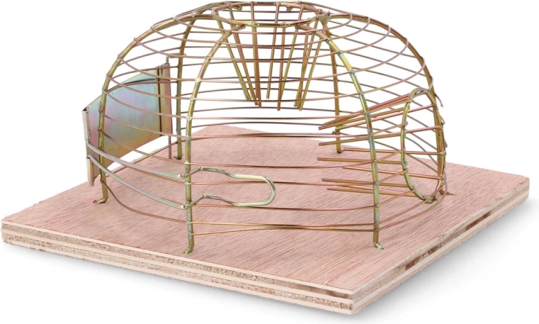 Capturare umană și sigură