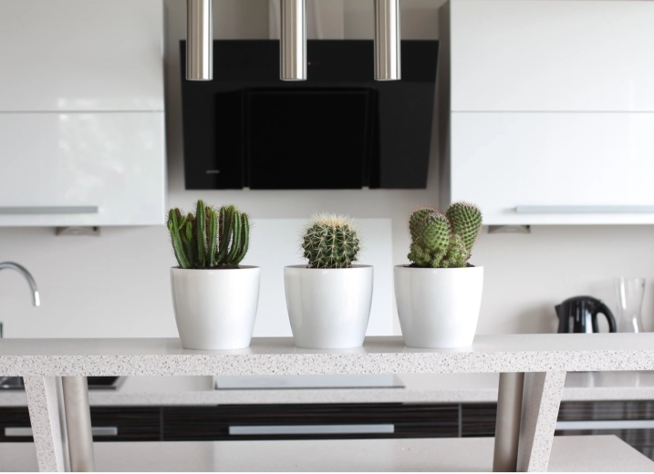 Versatil pentru interior și exterior