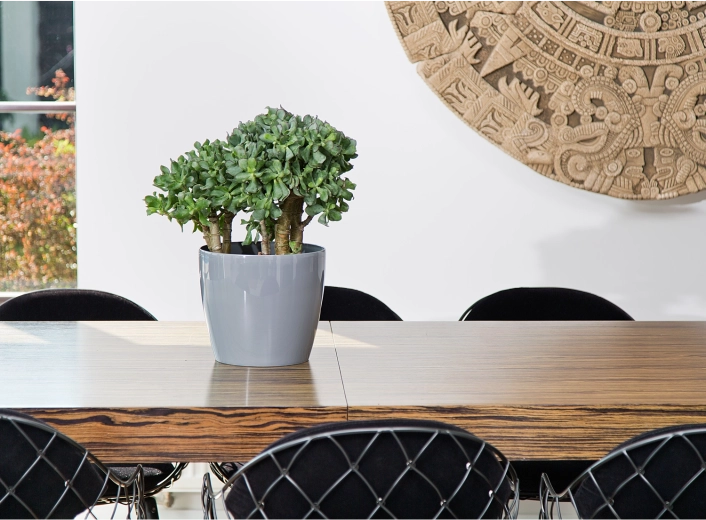 Aspect elegant ca ceramica