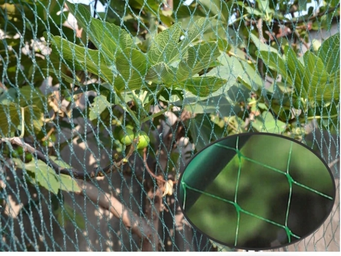 Protecție discretă și eficientă pentru grădină