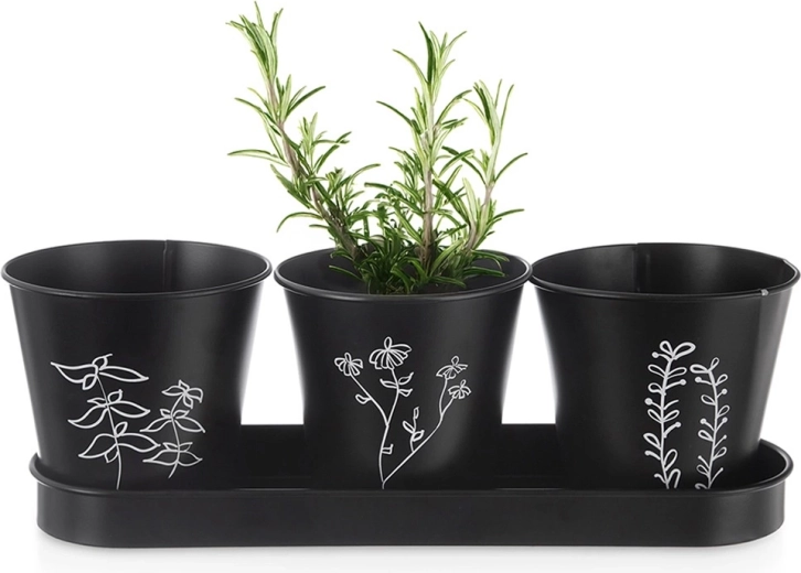 Set de ghivece pentru ierburi aromatice cu tăviță Blackline, 4 piese