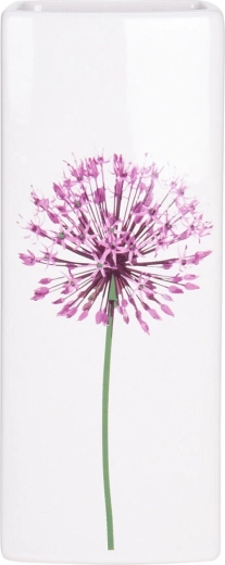 Umidificare naturală a aerului