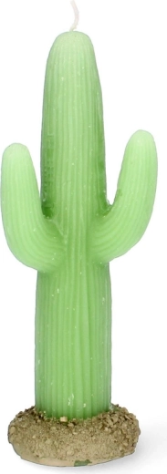 Aspect realist de cactus