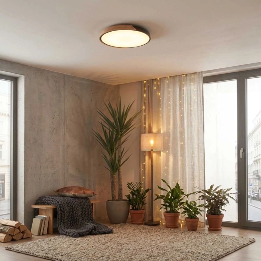 Design stejar + metal negru pentru interioare moderne