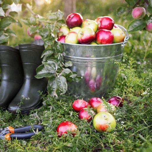 Utilizare extinsă în gospodărie și grădină