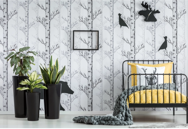 Design lucios care iese în evidență oriunde