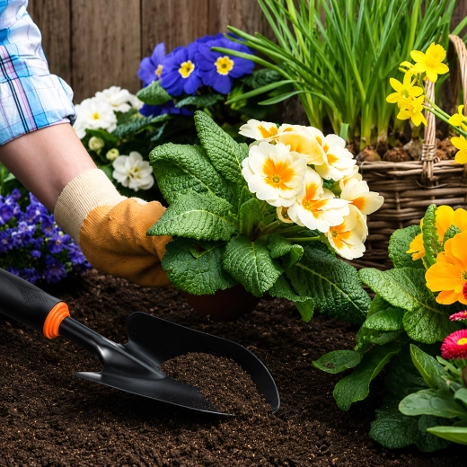 Ideală pentru plantare și transplantare