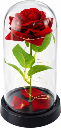 Iluminare LED romantică