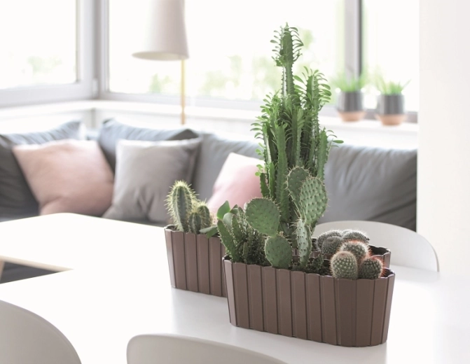 Aspect stilat al șipcilor din lemn