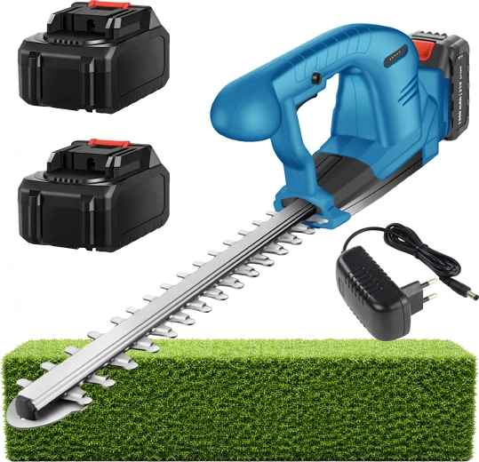 Set cu 2 baterii și încărcător