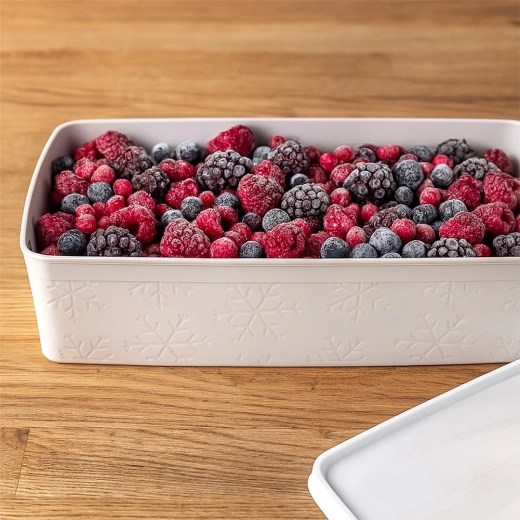 Congelare sigură și organizare