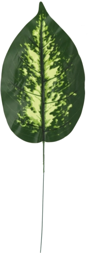 Set de rămurele artificiale de dieffenbachia, 12 buc.