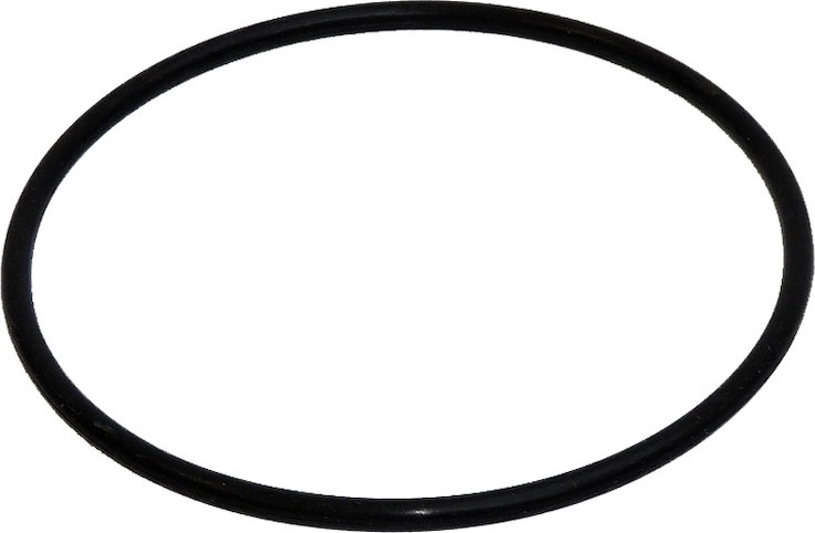 O-ring de etanșare pentru vasul filtrării Prostar 2