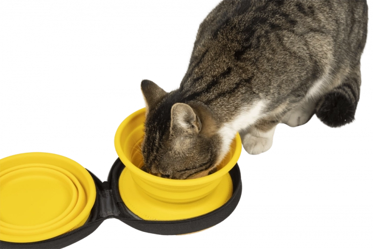 Etui practic cu fermoar