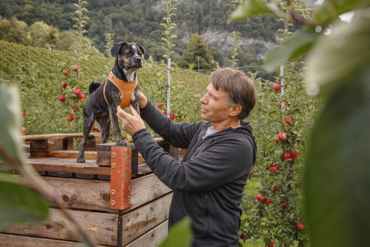 Închidere ușoară cu o singură mână
