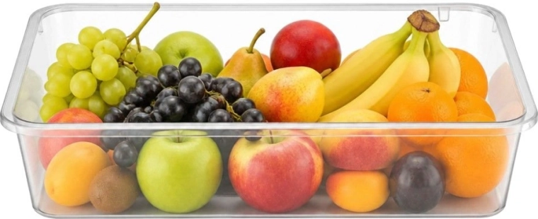 Organizator pentru frigider 25 × 17 × 5,5 cm, 1,7 l