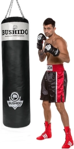 Lanțuri sudate și agrafă pivotantă