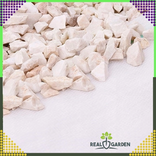 Agrotextil alb 70 g/m² 1,6 × 100 m împotriva buruienilor + ancore UV