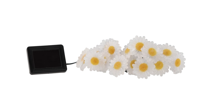 Atmosferă florală magică