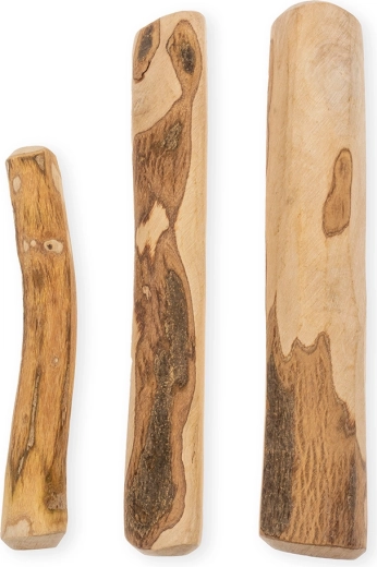 Susținerea igienei dentare